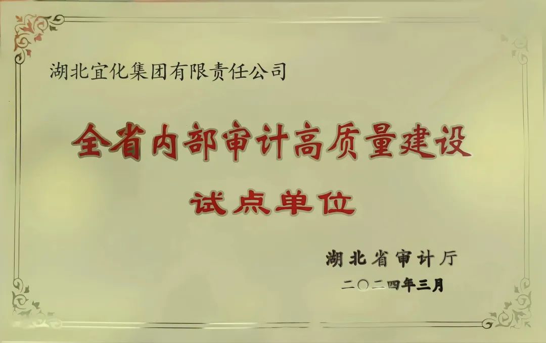 宜化集團(tuán)獲評(píng)全省內(nèi)部審計(jì)高質(zhì)量建設(shè)試點(diǎn)單位(圖2)